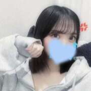 ヒメ日記 2025/05/21 14:01 投稿 ウララ エピソード(品川)