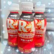 ヒメ日記 2025/05/24 13:16 投稿 ウララ エピソード(品川)