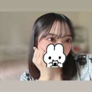 ヒメ日記 2025/05/30 09:46 投稿 ウララ エピソード(品川)