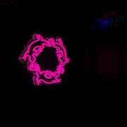 ヒメ日記 2025/06/01 14:46 投稿 ウララ エピソード(品川)