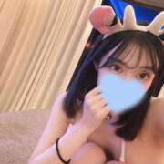 ヒメ日記 2025/06/03 11:16 投稿 ウララ エピソード(品川)