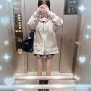 ヒメ日記 2025/06/04 11:01 投稿 ウララ エピソード(品川)