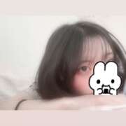 ヒメ日記 2025/06/05 08:01 投稿 ウララ エピソード(品川)