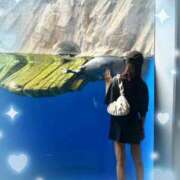 ヒメ日記 2025/06/19 14:16 投稿 ウララ エピソード(品川)