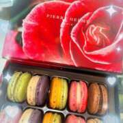 ヒメ日記 2025/06/21 18:31 投稿 ウララ エピソード(品川)