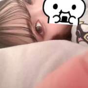 ヒメ日記 2025/06/22 09:46 投稿 ウララ エピソード(品川)