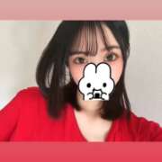 ヒメ日記 2025/06/29 09:31 投稿 ウララ エピソード(品川)