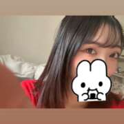 ヒメ日記 2025/07/02 09:31 投稿 ウララ エピソード(品川)