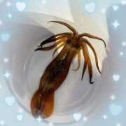 ヒメ日記 2025/07/05 19:16 投稿 ウララ エピソード(品川)