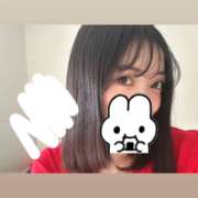 ヒメ日記 2025/07/07 09:46 投稿 ウララ エピソード(品川)