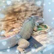 ヒメ日記 2025/07/10 15:31 投稿 ウララ エピソード(品川)