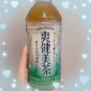 ヒメ日記 2025/07/22 17:16 投稿 ウララ エピソード(品川)