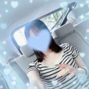 ヒメ日記 2025/07/25 11:16 投稿 ウララ エピソード(品川)