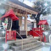 ヒメ日記 2025/08/03 13:46 投稿 ウララ エピソード(品川)