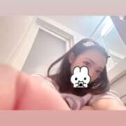 ヒメ日記 2025/08/13 09:46 投稿 ウララ エピソード(品川)