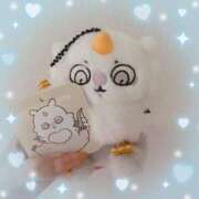 ヒメ日記 2025/08/18 20:46 投稿 ウララ エピソード(品川)