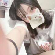 ヒメ日記 2025/09/07 12:01 投稿 ウララ エピソード(品川)