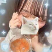 ヒメ日記 2025/09/08 01:01 投稿 ウララ エピソード(品川)