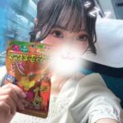 ヒメ日記 2025/09/11 10:31 投稿 ウララ エピソード(品川)