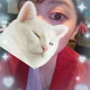 ヒメ日記 2025/09/13 00:01 投稿 ウララ エピソード(品川)