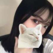 ヒメ日記 2025/09/14 10:01 投稿 ウララ エピソード(品川)