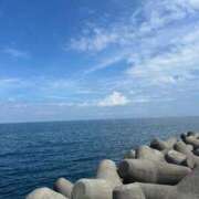 ヒメ日記 2025/09/16 10:31 投稿 ウララ エピソード(品川)