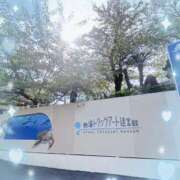 ヒメ日記 2025/09/17 17:31 投稿 ウララ エピソード(品川)