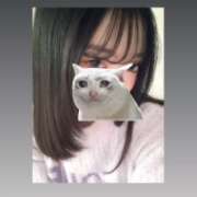 ヒメ日記 2025/10/16 10:46 投稿 ウララ エピソード(品川)