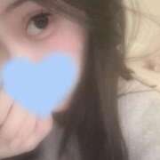 ヒメ日記 2025/10/18 05:46 投稿 ウララ エピソード(品川)