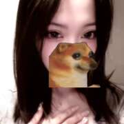 ヒメ日記 2025/10/31 17:31 投稿 ウララ エピソード(品川)