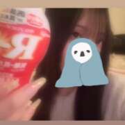 ヒメ日記 2025/11/02 02:16 投稿 ウララ エピソード(品川)