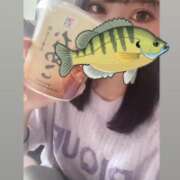 ヒメ日記 2025/11/02 13:16 投稿 ウララ エピソード(品川)