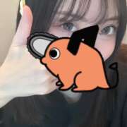 ヒメ日記 2025/11/03 12:31 投稿 ウララ エピソード(品川)