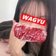 ヒメ日記 2025/11/28 13:16 投稿 ウララ エピソード(品川)