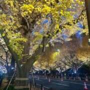 ヒメ日記 2025/12/02 11:31 投稿 ウララ エピソード(品川)