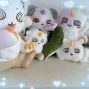 ヒメ日記 2025/12/06 10:01 投稿 ウララ エピソード(品川)