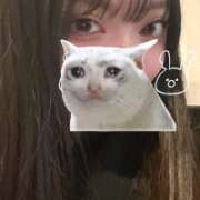 ヒメ日記 2025/12/15 11:31 投稿 ウララ エピソード(品川)