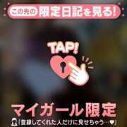 ヒメ日記 2025/12/15 11:46 投稿 ウララ エピソード(品川)