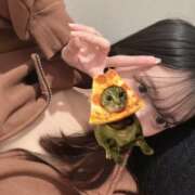 ヒメ日記 2026/01/07 12:01 投稿 ウララ エピソード(品川)