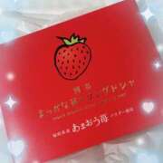 ヒメ日記 2026/01/28 16:31 投稿 ウララ エピソード(品川)