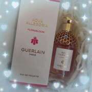 ヒメ日記 2026/02/08 18:01 投稿 ウララ エピソード(品川)