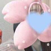 ヒメ日記 2026/04/01 15:16 投稿 ウララ エピソード(品川)