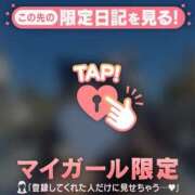 ヒメ日記 2026/05/11 00:01 投稿 ウララ エピソード(品川)