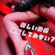 ヒメ日記 2026/04/14 23:46 投稿 ゆうひ～マット＆M性感～ アメイジングビル～道後最大級！遊び方無限大∞ヘルス♪～