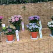 ヒメ日記 2026/07/30 02:18 投稿 絵梨花 仙台回春性感マッサージ倶楽部