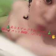 ヒメ日記 2024/12/16 21:01 投稿 りか 愛知弥富ちゃんこ