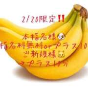 ヒメ日記 2025/02/19 11:11 投稿 りか 愛知弥富ちゃんこ