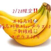 ヒメ日記 2025/02/20 14:41 投稿 りか 愛知弥富ちゃんこ