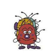 ヒメ日記 2025/03/16 10:02 投稿 りか 愛知弥富ちゃんこ