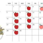 ヒメ日記 2025/03/23 01:41 投稿 りか 愛知弥富ちゃんこ